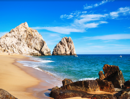 NOVEMBER 2022 – LOS CABOS